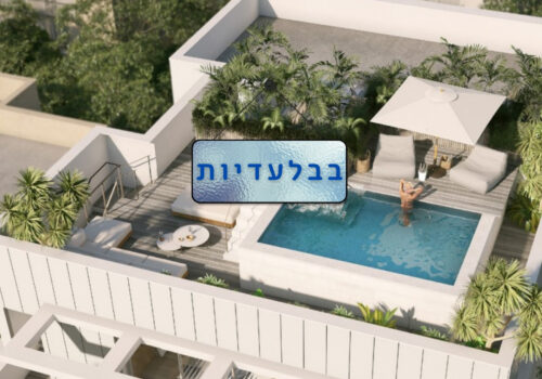 פנטהאוז נדיר ליד שנקין, ת"א